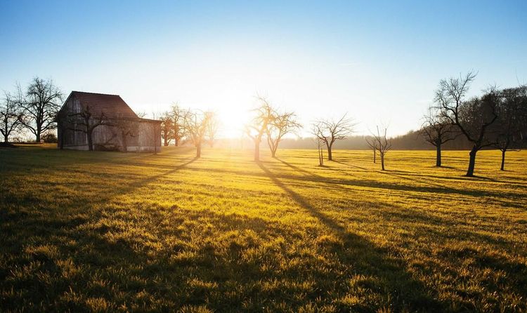 PS Audio 与 Naim CD 播放机因光驱停产,Hi-Fi 烧友集体转向二手市场