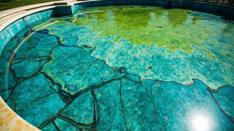 封面图:林肯纪念堂倒影池新涂层开裂、池水变绿