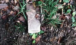 当 2026 年美国人把 1,660 亿美元押在体育博彩上,超过全美电影+音乐+博物馆+书籍全部加起来:为什么这「不只是又一个消费降级故事」,而是「州财政-电视转播-体育 IP-算法赔率-债务逾期」五条 30 年级暗线第一次按在同一张桌上?