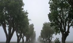 国内航线燃油附加费 10 月 10 日起上调