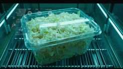 碎冰山生菜引爆 15 州环孢疫情