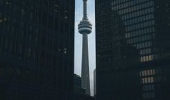 非暴力重罪犯复枪权 拆申请助理 App