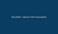 当一个守护海龟 30 年的女人,死于一次「附带损害」:Mona Khalil 之死,正在把 2026 年黎以冲突的成本账单,翻到最少被翻开的那一页