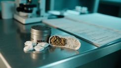 一只不会溶解的尼古丁袋，暴露了 FDA 审查的什么缺口？